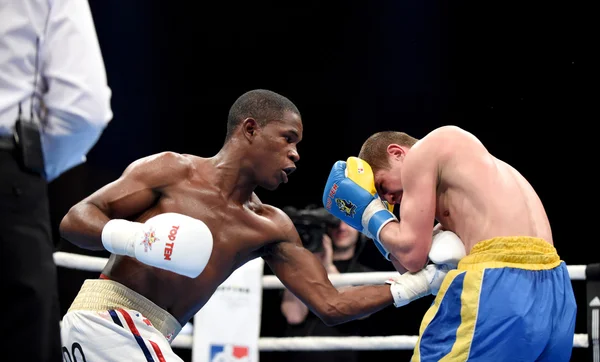 World series of boxning: Ukraina Otamans vs Kuba Domadores — Stockfoto