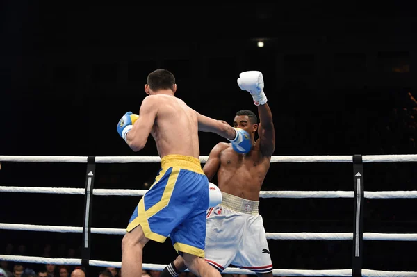 ボクシングのワールド シリーズ: ウクライナ Otamans 対キューバ Domadores — ストック写真