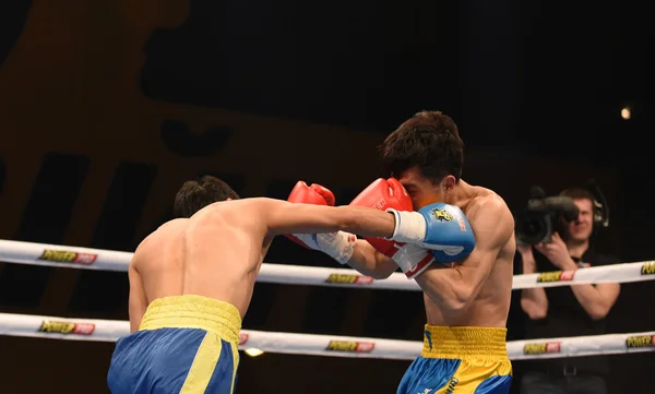 Série mundial de boxe: Ucrânia Otamans vs China Dragons — Fotografia de Stock