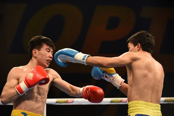 ボクシングのワールド シリーズ: ウクライナ Otamans vs 中国ドラゴンズ — ストック写真