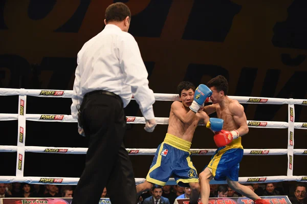 World series of boxing: Otamans Ukraina vs Chiny smoki — Zdjęcie stockowe