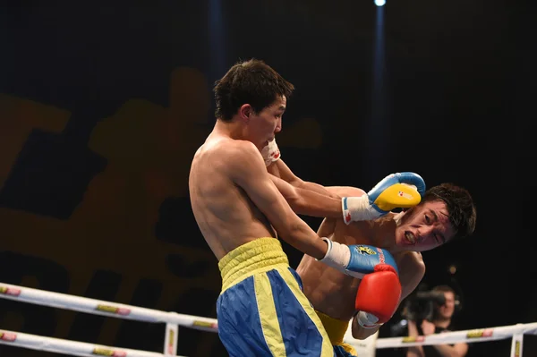 Serie mundial de boxeo: Ucrania Otamans vs China Dragones —  Fotos de Stock