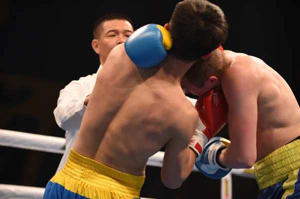 Serie mundial de boxeo: Ucrania Otamans vs China Dragones — Foto de Stock