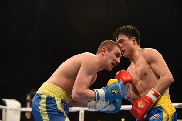 Série mundial de boxe: Ucrânia Otamans vs China Dragons — Fotografia de Stock