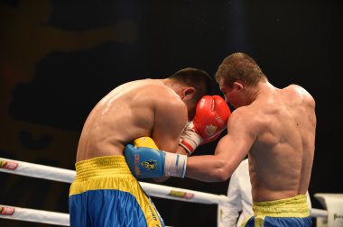 Boks dünya serisi: Ukrayna Otamans vs Çin ejderha