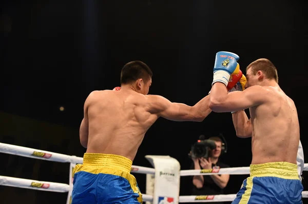 Série mundial de boxe: Ucrânia Otamans vs China Dragons — Fotografia de Stock