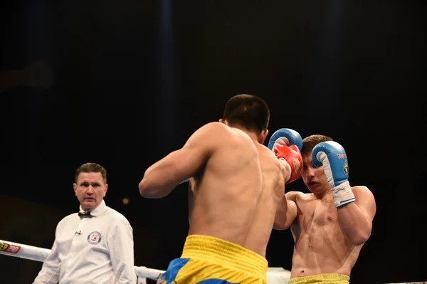 Série mundial de boxe: Ucrânia Otamans vs China Dragons — Fotografia de Stock