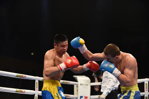 Série mundial de boxe: Ucrânia Otamans vs China Dragons — Fotografia de Stock