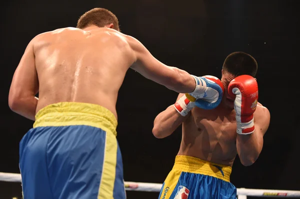 Série mundial de boxe: Ucrânia Otamans vs China Dragons — Fotografia de Stock