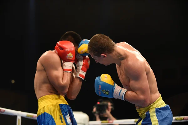 拳击世界系列: 乌克兰 Otamans vs 中国龙 — 图库照片