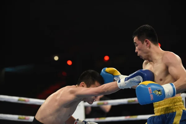 Världsserie av boxning: Ukraina Otamans vs ryska boxningslag — Stockfoto