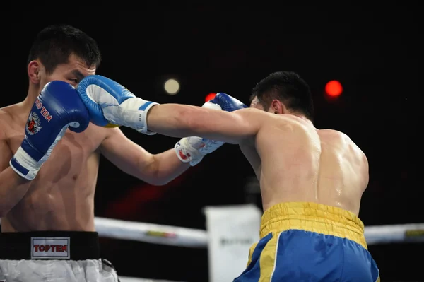 Série mundial de boxe: Ucrânia Otamans vs Russian Boxing Team — Fotografia de Stock