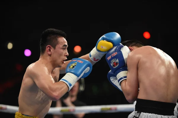 Världsserie av boxning: Ukraina Otamans vs ryska boxningslag — Stockfoto