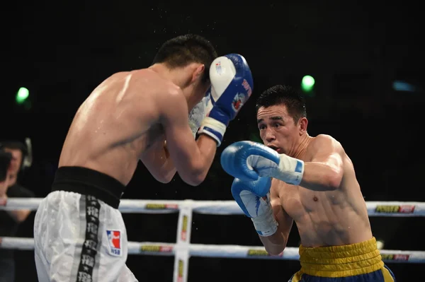 Série mundial de boxe: Ucrânia Otamans vs Russian Boxing Team — Fotografia de Stock