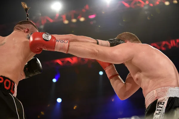 Lucha de boxeo por el título de peso crucero intercontinental de la OMB — Foto de Stock
