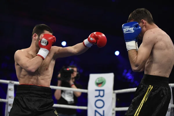 Ranking walki bokserskie w pałacu sportu, Kijów — Zdjęcie stockowe