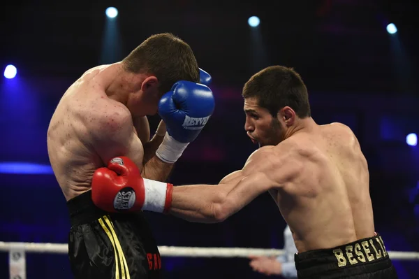 Ranking boxing fight in Palace of sport, Kiev — Stock Photo, Image