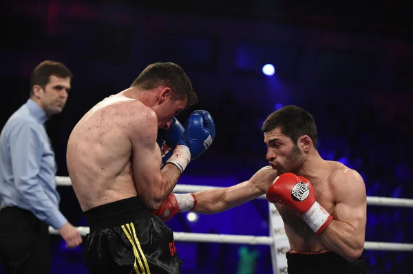 Ranking boxing fight in Palace of sport, Kiev — Stock Photo, Image