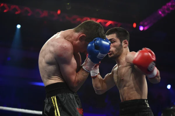 Ranking boxing fight in Palace of sport, Kiev — Stock Photo, Image