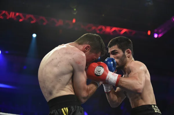 Ranking boxing fight in Palace of sport, Kiev — Stock Photo, Image