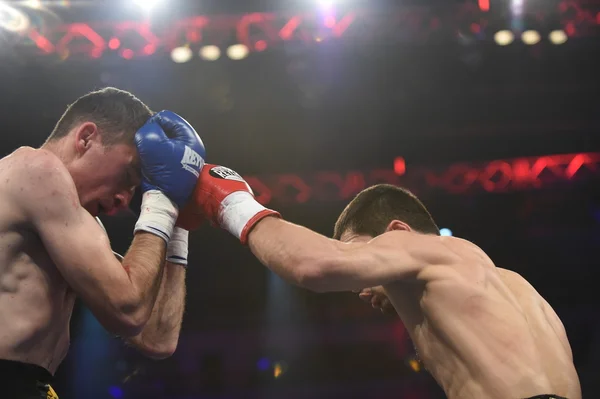 Ranking pelea de boxeo en el Palacio del deporte, Kiev —  Fotos de Stock