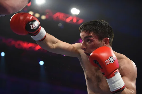 Ranking luta de boxe no Palácio do esporte, Kiev — Fotografia de Stock