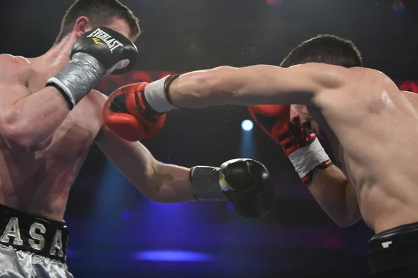 Ranking pelea de boxeo en el Palacio del deporte, Kiev —  Fotos de Stock