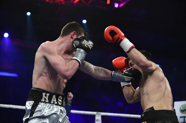 Žebříček boxerský zápas v paláci sportu, Kyjev — Stock fotografie