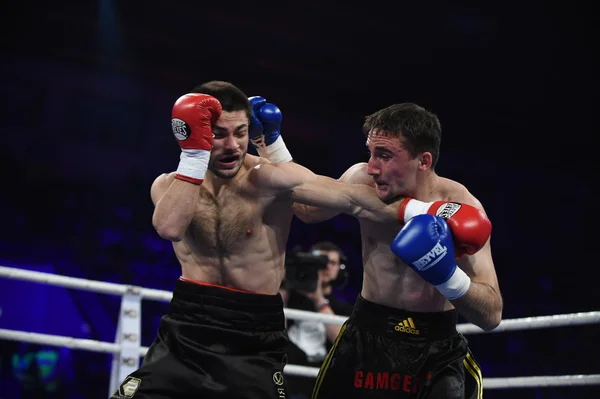 Ranking luta de boxe no Palácio do esporte, Kiev — Fotografia de Stock