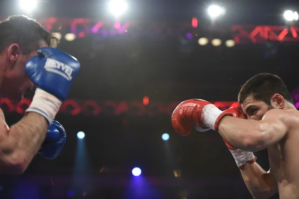 Ranking luta de boxe no Palácio do esporte, Kiev — Fotografia de Stock