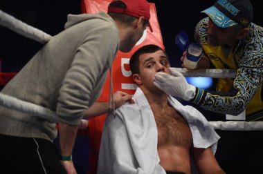 Sıralama boks mücadele Arena Lviv Stadyumu