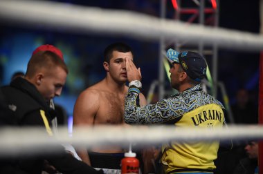 Sıralama boks mücadele Arena Lviv Stadyumu