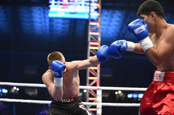 Žebříček box boj v aréně ve Lvově stadionu — Stock fotografie