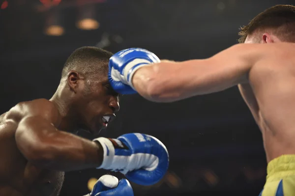 Série mundial de boxe: Ucrânia Otamans vs Lionheart britânico — Fotografia de Stock