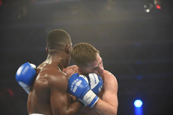 Série mundial de boxe: Ucrânia Otamans vs Lionheart britânico — Fotografia de Stock