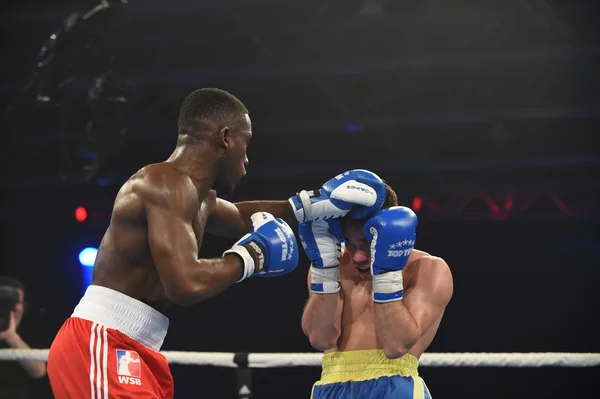 World series of boxning: Ukraina Otamans vs brittiska Lejonhjärta — Stockfoto