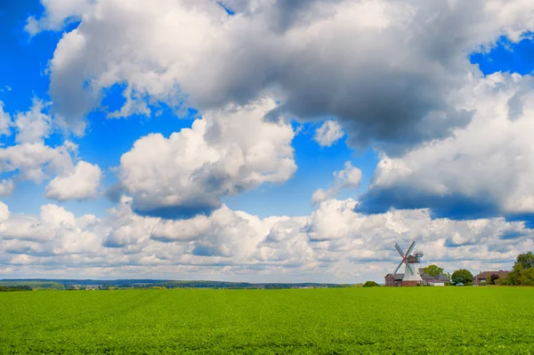 Landschaft mit grünem Gras und Windmühle — Stockfoto