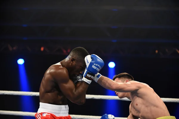 Světová série boxu: Ukrajina otamans vs britská lionhearts — Stock fotografie