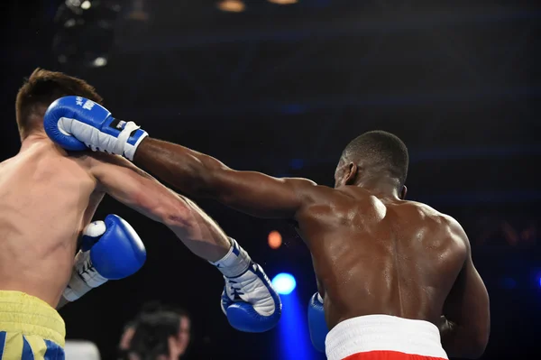 Světová série boxu: Ukrajina otamans vs britská lionhearts — Stock fotografie