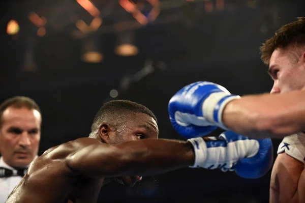 Serii World Boxing: Ukraina otamans vs brytyjskiej lionhearts — Zdjęcie stockowe