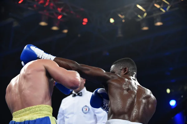 Série mondiale de boxe : Ukraine Otamans vs British Lionhearts — Photo