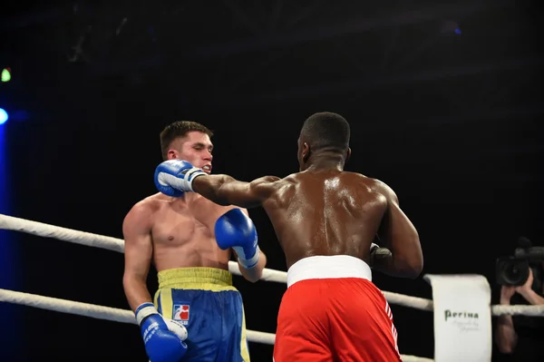 Série mundial de boxe: Ucrânia Otamans vs Lionhearts britânicos — Fotografia de Stock