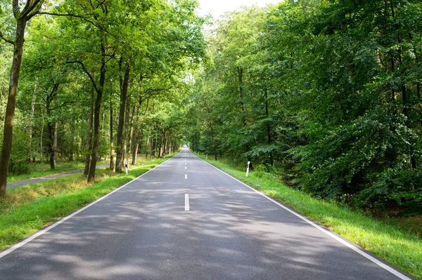 Straße im Wald — Stockfoto