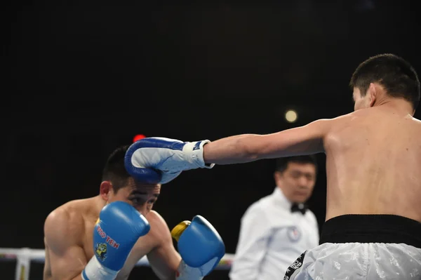 Světová série boxu: Ukrajina Otamans vs ruské boxerské reprezentace — Stock fotografie