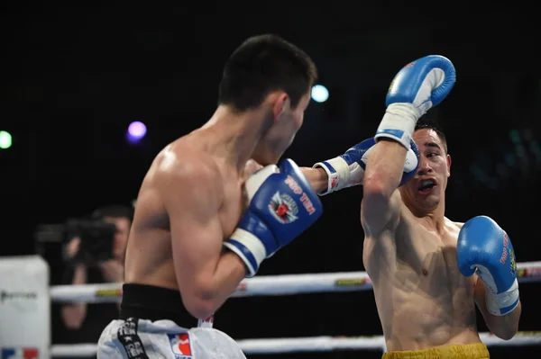 Světová série boxu: Ukrajina Otamans vs ruské boxerské reprezentace — Stock fotografie