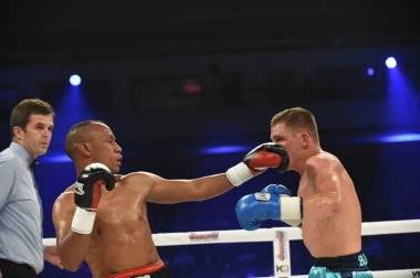 Ranking fight between Denis Berinchyk (Ukraine) and Belgian Tarik Madni in the Palace of sport in Kiev, Ukraine