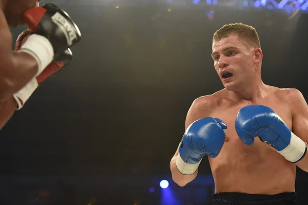 Ranking fight between Denis Berinchyk (Ukraine) and Belgian Tarik Madni in the Palace of sport in Kiev, Ukraine — Zdjęcie stockowe