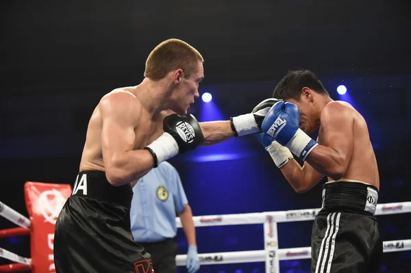 Ranking boxing fight in the Palaceof Sport in Kiev — Stock Photo, Image