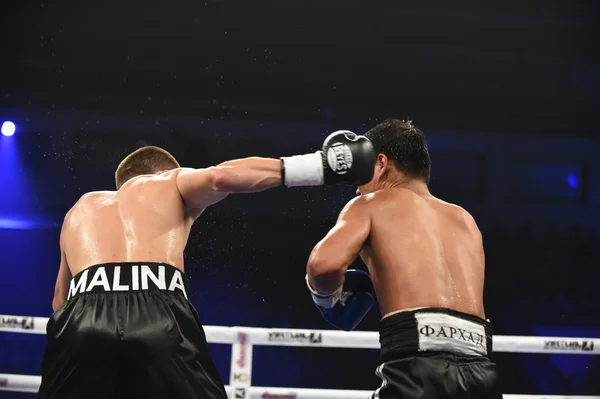 Rankning boxning kamp i den Palaceof sporten i Kiev — Stockfoto