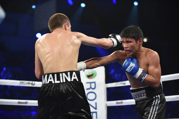 Ranking luta de boxe no Palaceof Sport em Kiev — Fotografia de Stock